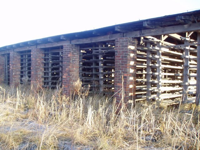 photo6.jpg