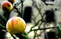 photo3_small.jpg