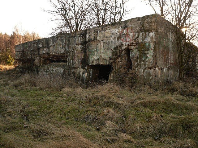 photo7.jpg