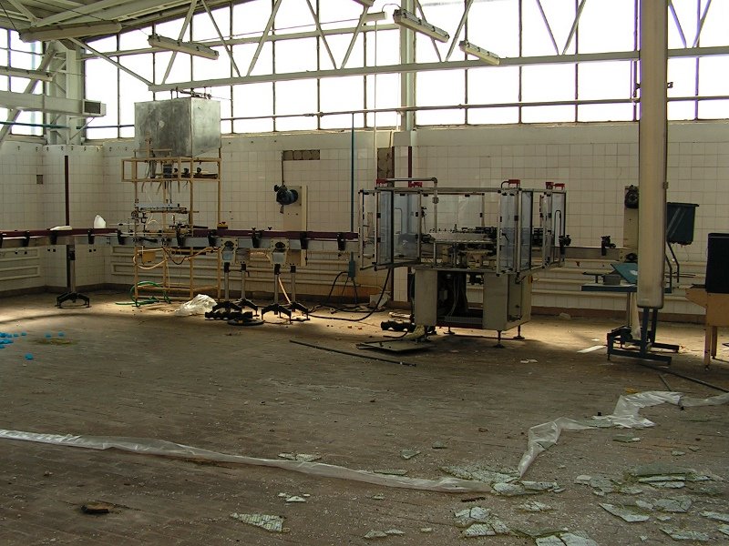 photo7.jpg