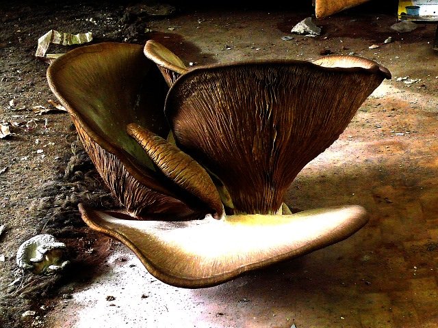 photo14.jpg