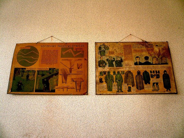 photo19.jpg