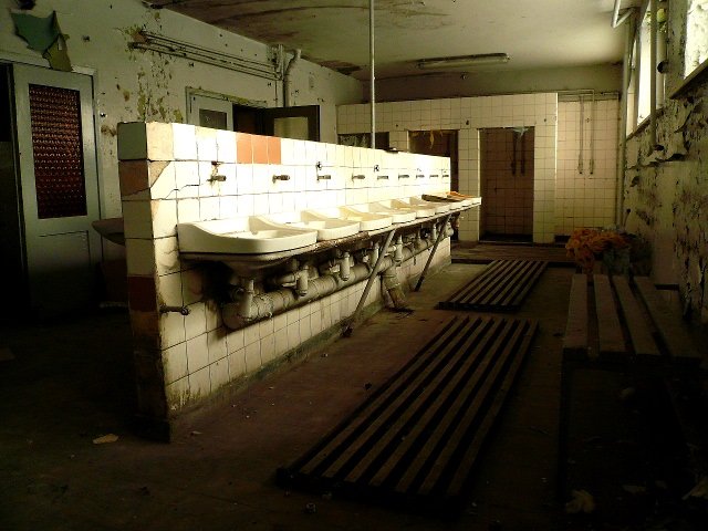 photo8.jpg