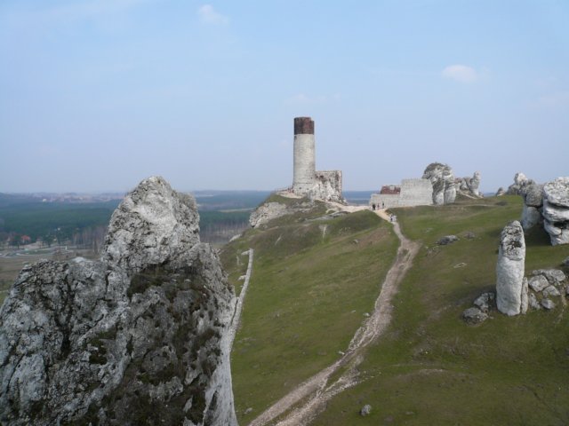 photo6.jpg