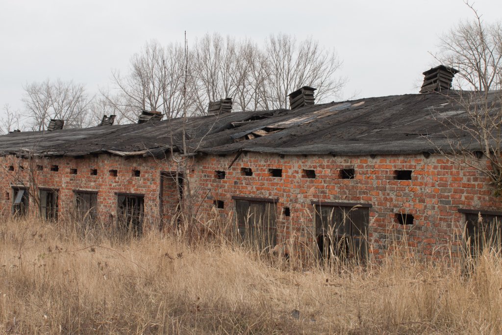 photo.jpg