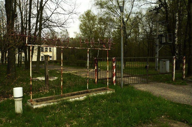 photo.jpg