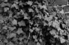 photo8_small.jpg