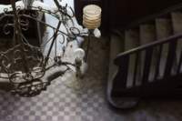 photo3_small.jpg