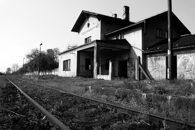 photo.jpg