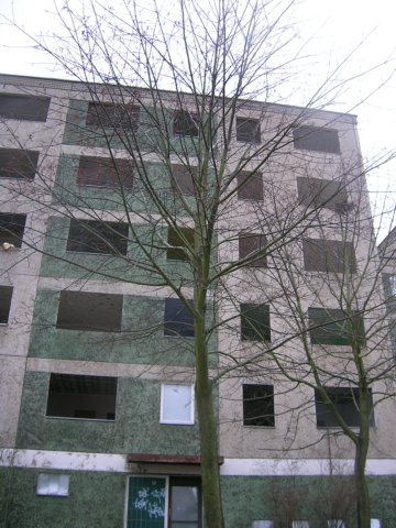 photo40.jpg