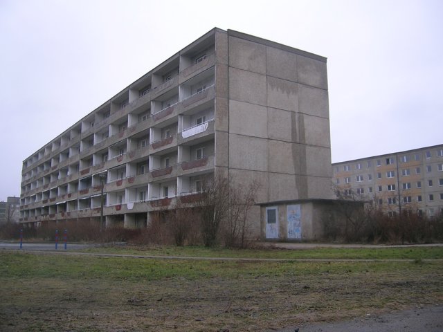 photo42.jpg