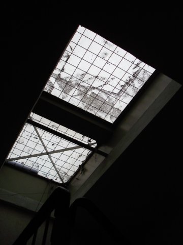 photo7.jpg