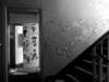 photo6_small.jpg