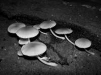 photo5_small.jpg