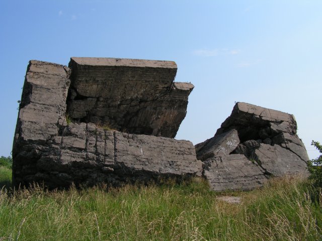 photo.jpg