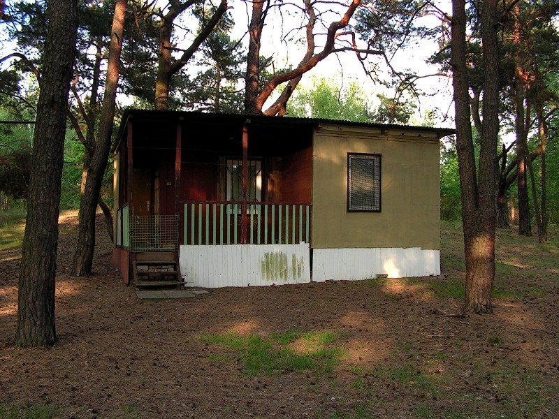 photo7.jpg