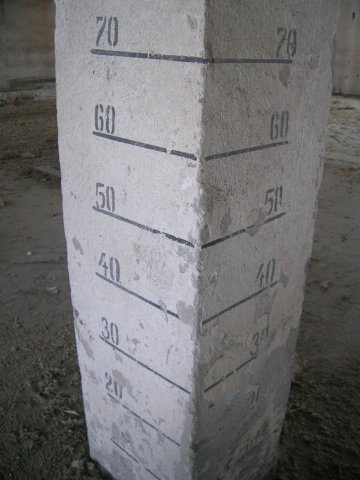 photo11.jpg