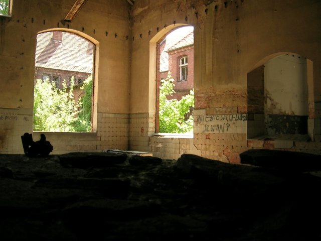 photo10.jpg