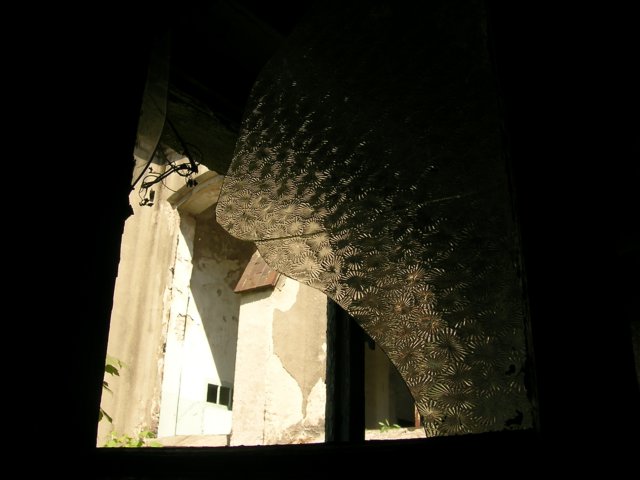 photo16.jpg
