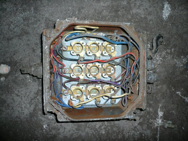 photo24.jpg