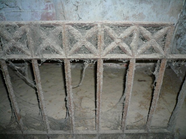 photo26.jpg