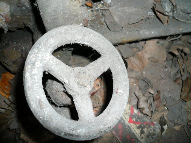 photo28.jpg