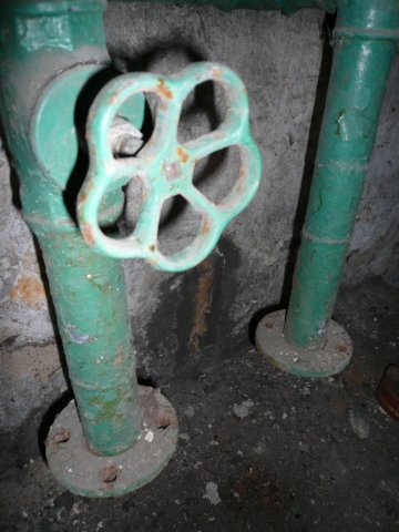 photo7.jpg