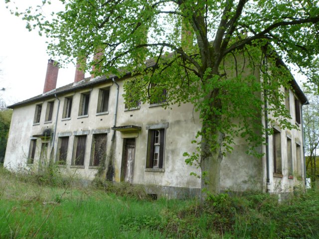 photo.jpg
