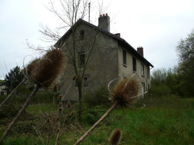 photo2.jpg