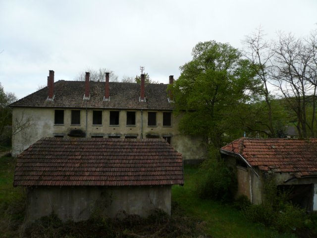 photo4.jpg
