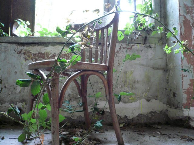 photo6.jpg