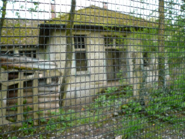 photo8.jpg