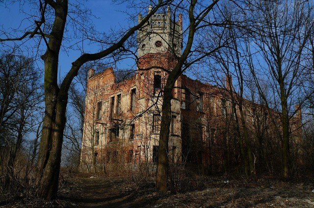photo.jpg