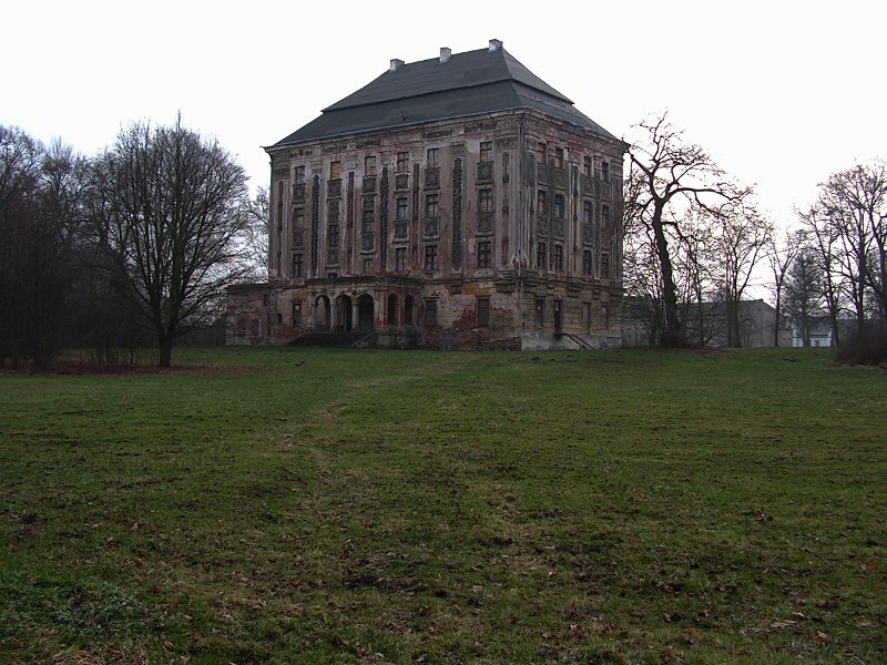 photo.jpg