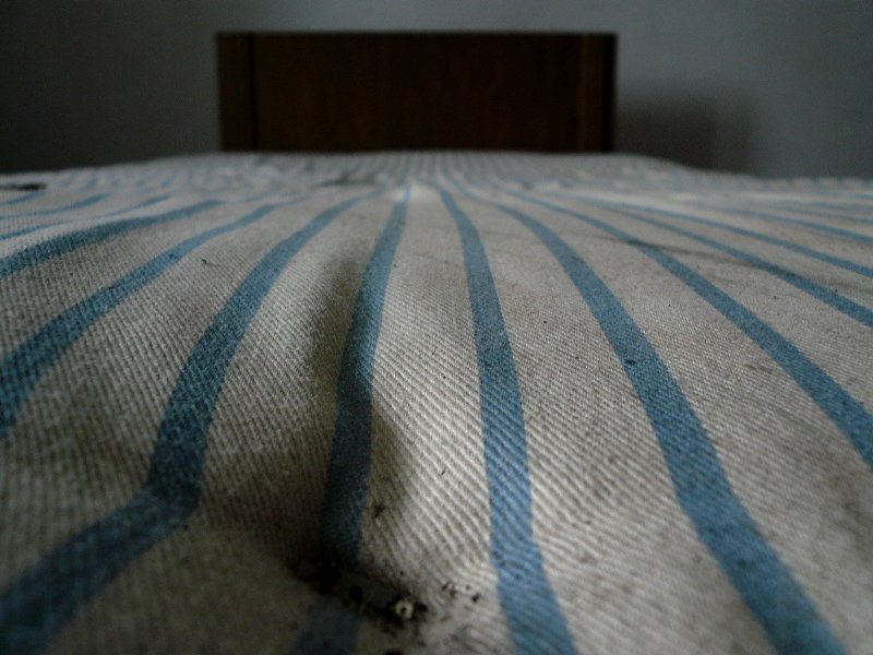 photo2.jpg