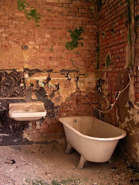 photo4.jpg