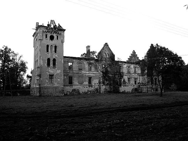 photo.jpg