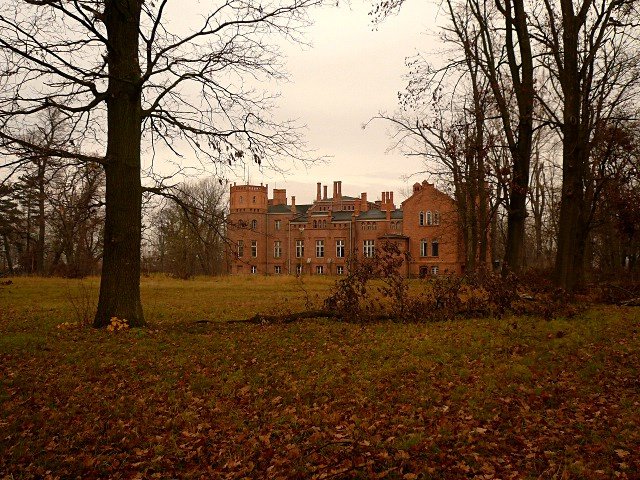 photo.jpg