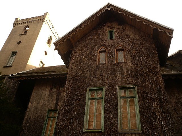 photo3.jpg