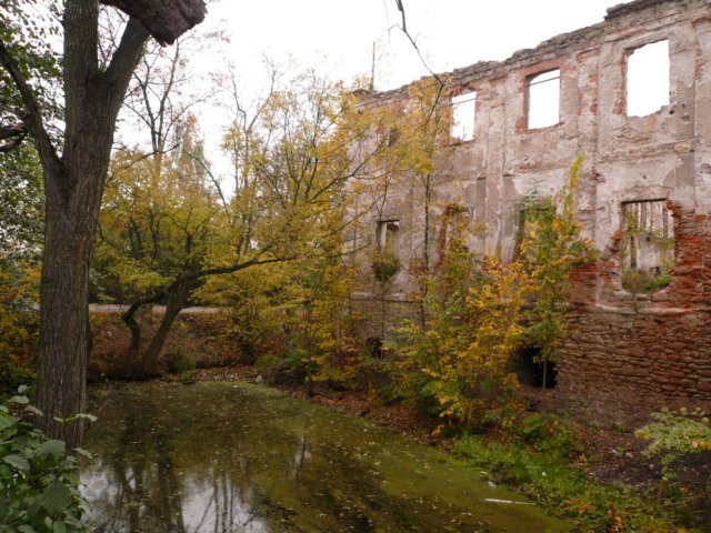 photo.jpg