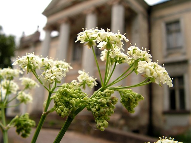 photo.jpg