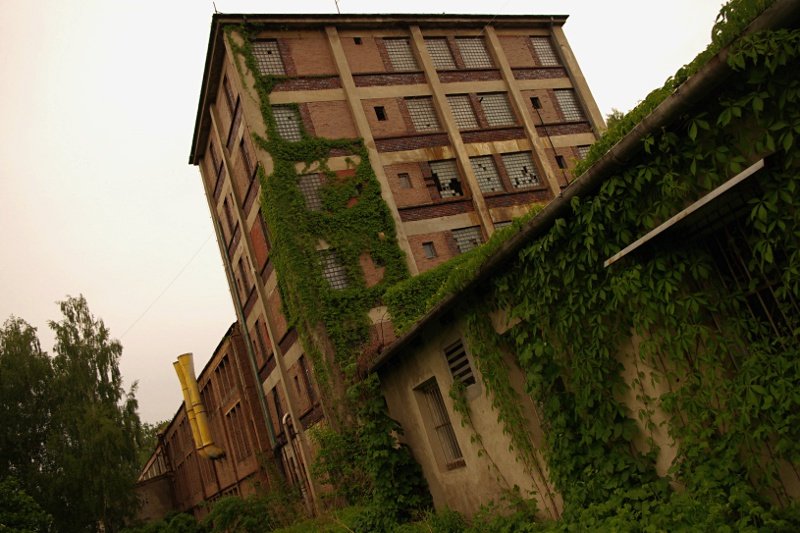 photo.jpg