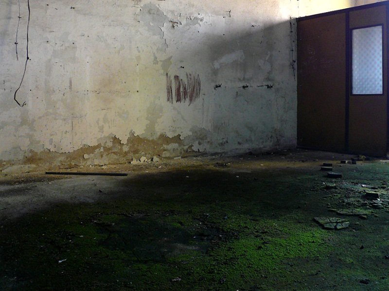 photo7.jpg