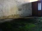 photo7_small.jpg