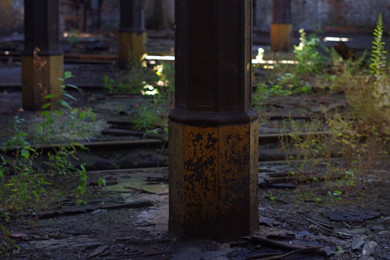 photo2.jpg