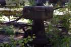 photo5_small.jpg