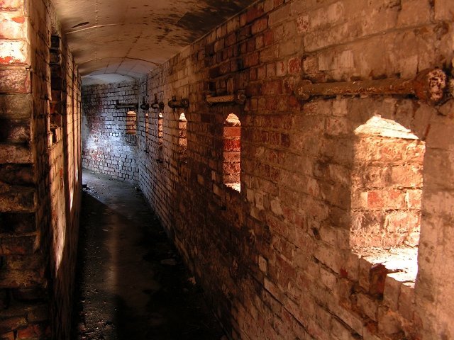 photo14.jpg