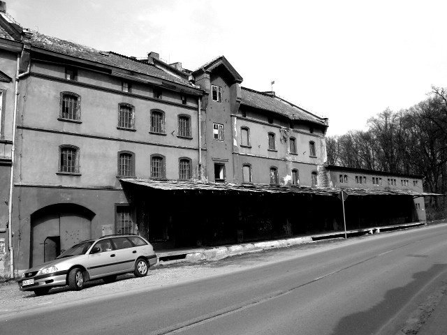 photo.jpg