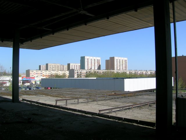 photo15.jpg