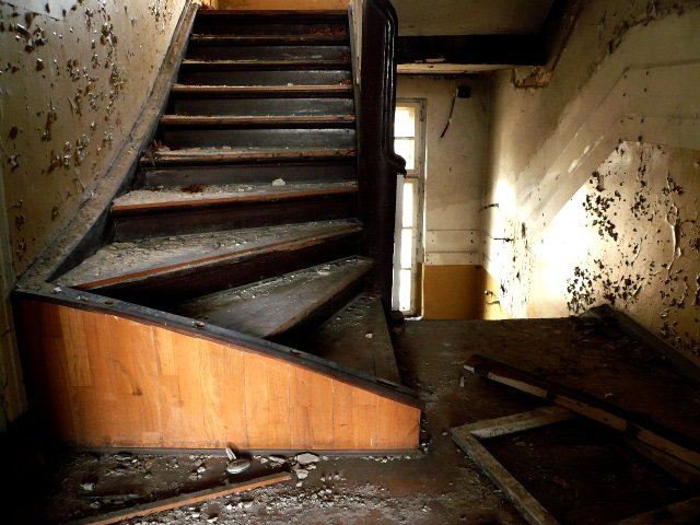 photo7.jpg